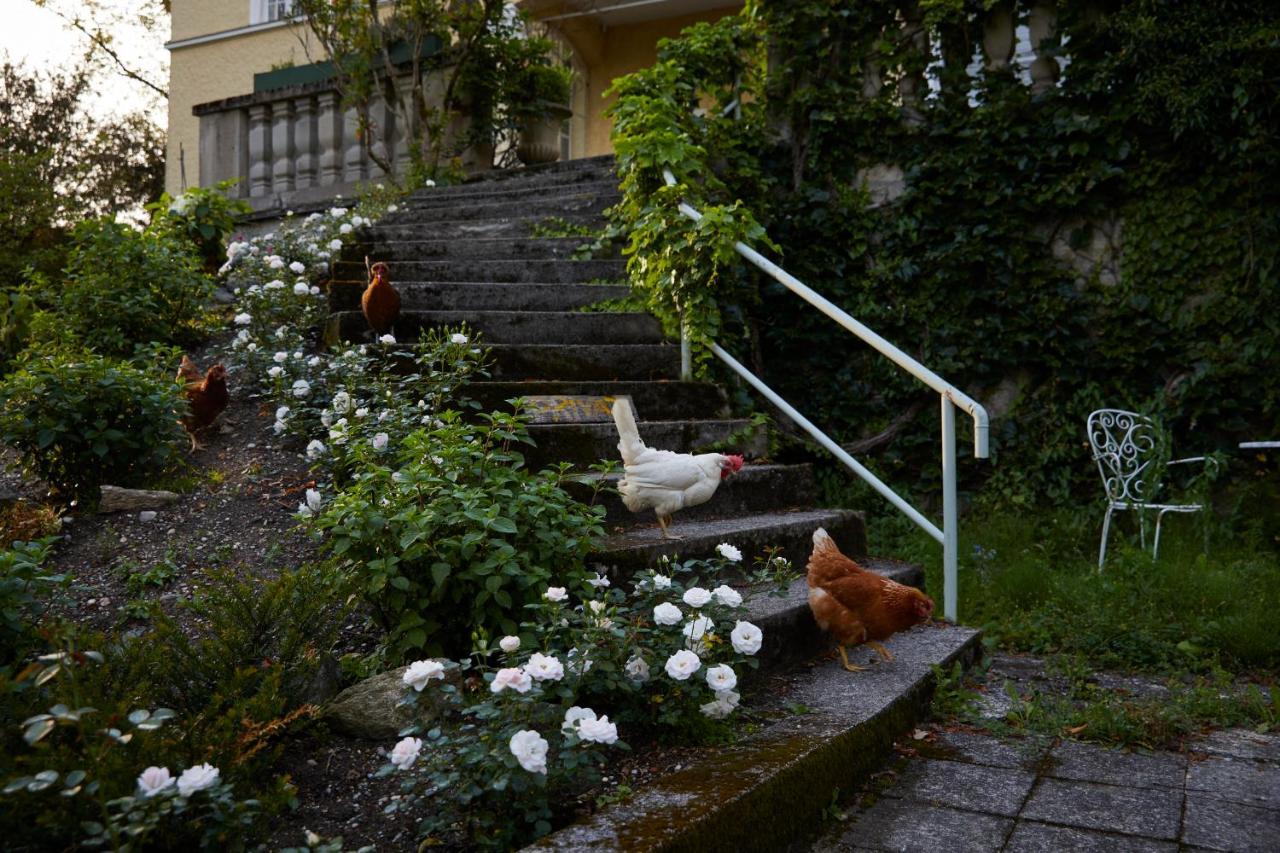 Schloss Moerlbach 外观 照片